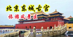 大几把插逼好舒服网站视频中国北京-东城古宫旅游风景区