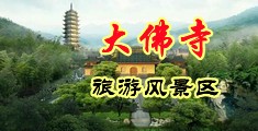 在线观看插女生骚b中国浙江-新昌大佛寺旅游风景区